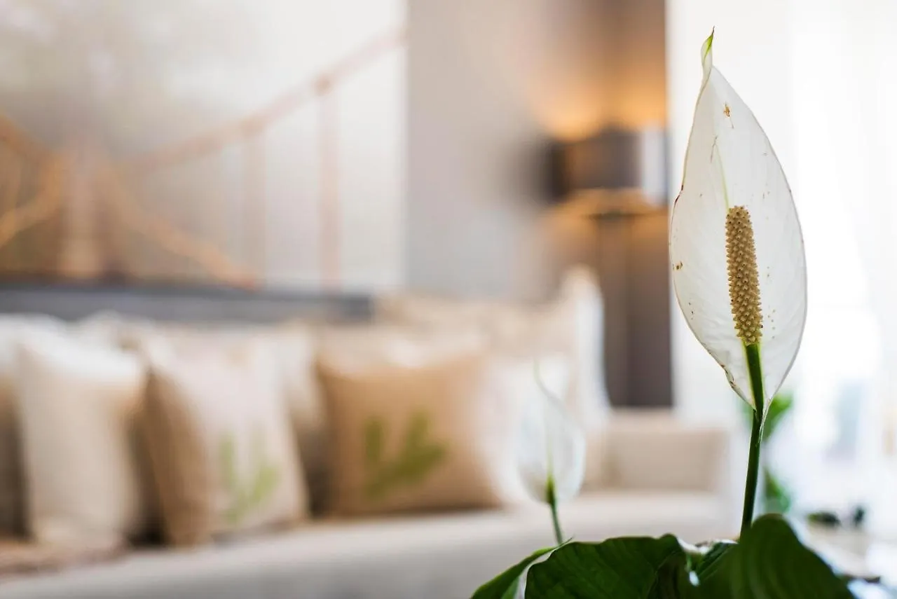 Wonderful Apartment In Puerto Marina Benalmadena Spain